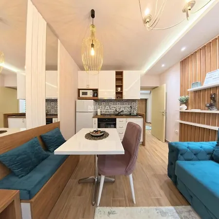 Apartment Tomin Sokak Charming And Cozy App Belgrade