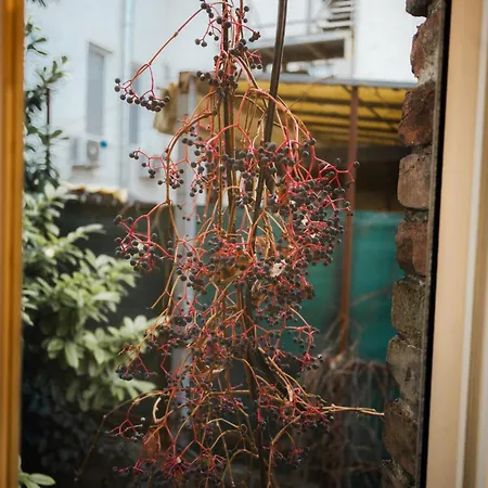 Apartman Tomin Sokak *