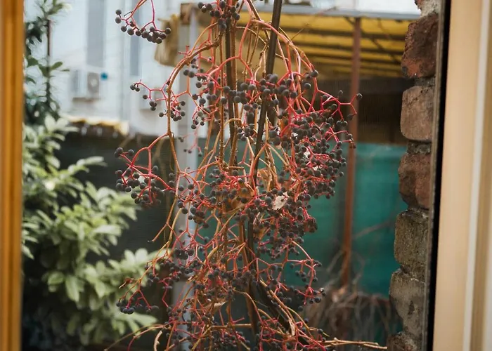 Apartmán Tomin Sokak *